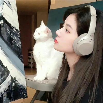 魅杀